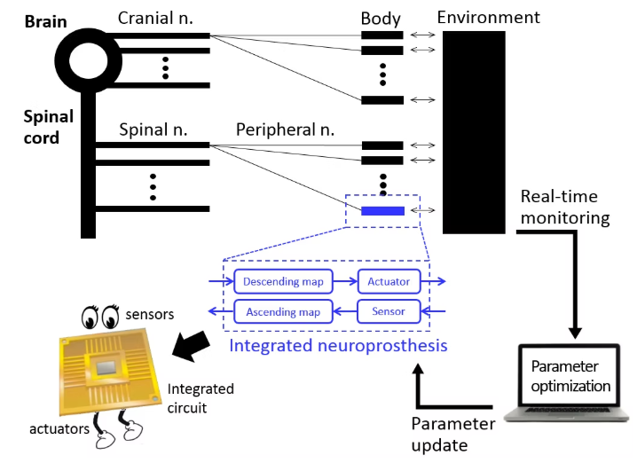 Develop integrated neuroprosthesis
